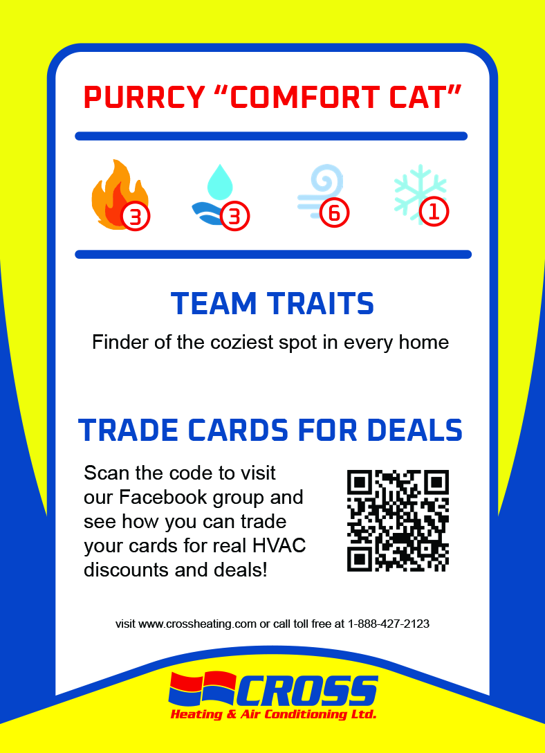 Purrcy card 2